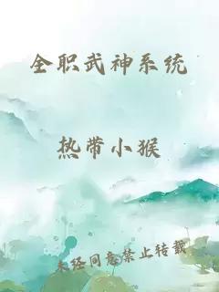 全职武神系统