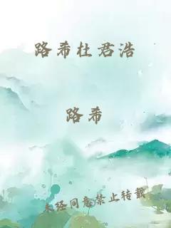 路希杜君浩