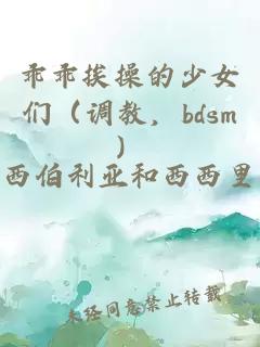 乖乖挨操的少女们（调教，bdsm）