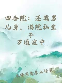 四合院：还我男儿身，满院私生子