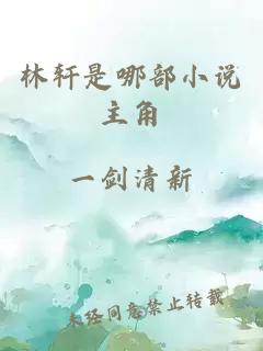 林轩是哪部小说主角