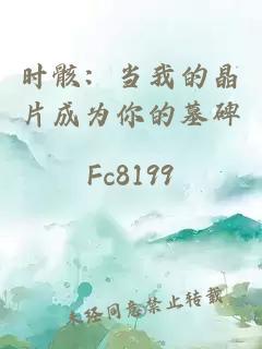 时骸：当我的晶片成为你的墓碑
