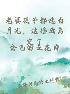 老婆孩子都选白月光，这婚我离定了