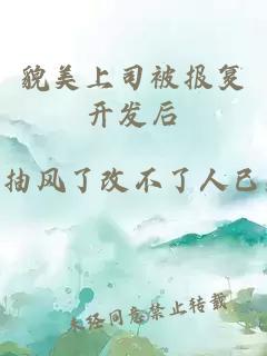貌美上司被报复开发后