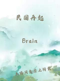 民国再起