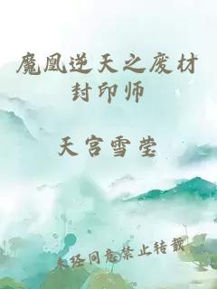 魔凰逆天之废材封印师