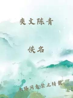 爽文陈青