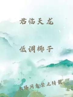君临天龙