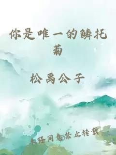 你是唯一的鳞托菊