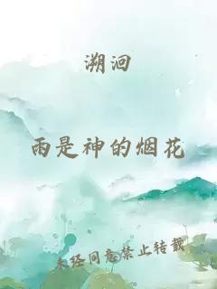 溯洄