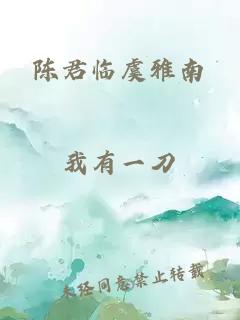 陈君临虞雅南